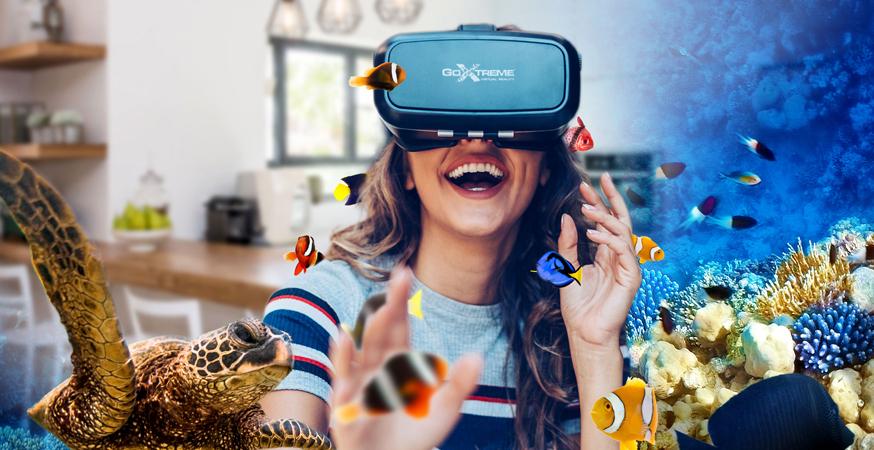 GoXtreme VR Glasses