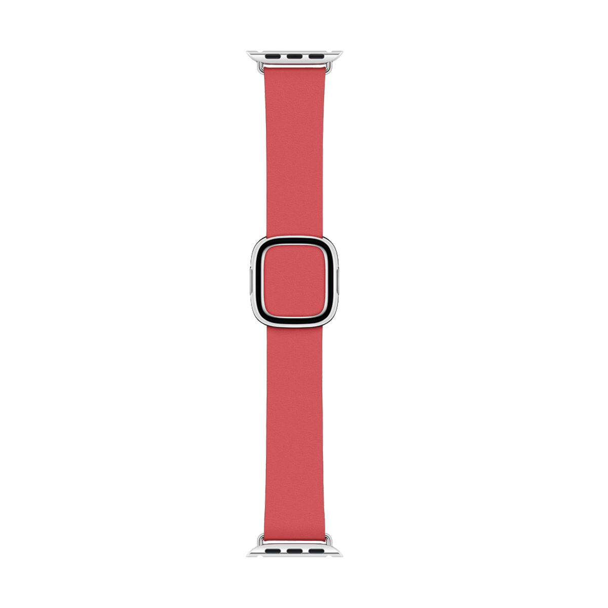APPLE Modern Buckle Band για APPLE Watch Series 4 GPS 40/38 mm