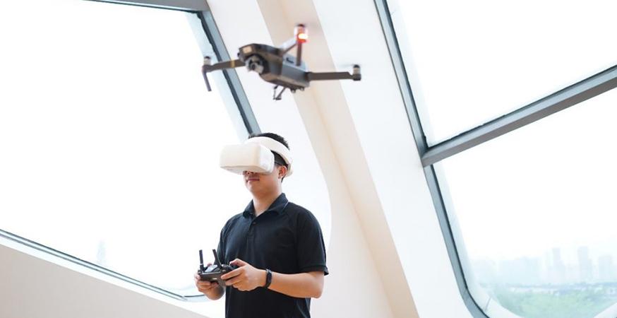 DJI Goggles
