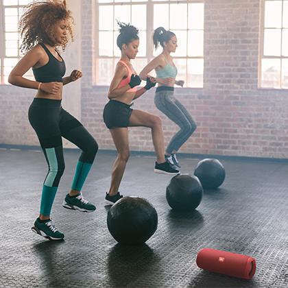 Bluetooth speaker JBL Flip 5