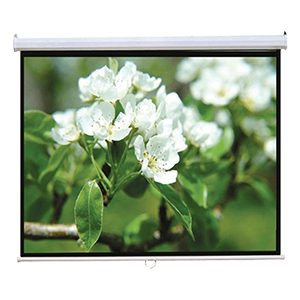 selected sku image thumbnail