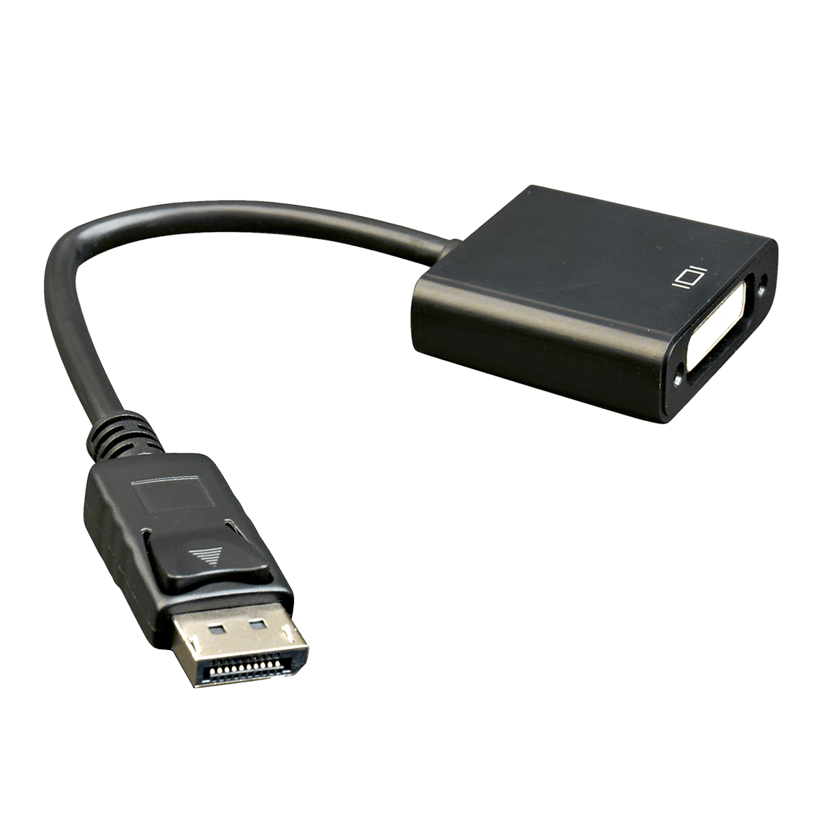 Αντάπτορας με καλώδιο DisplayPort σε DVI CABLEXPERT - 2