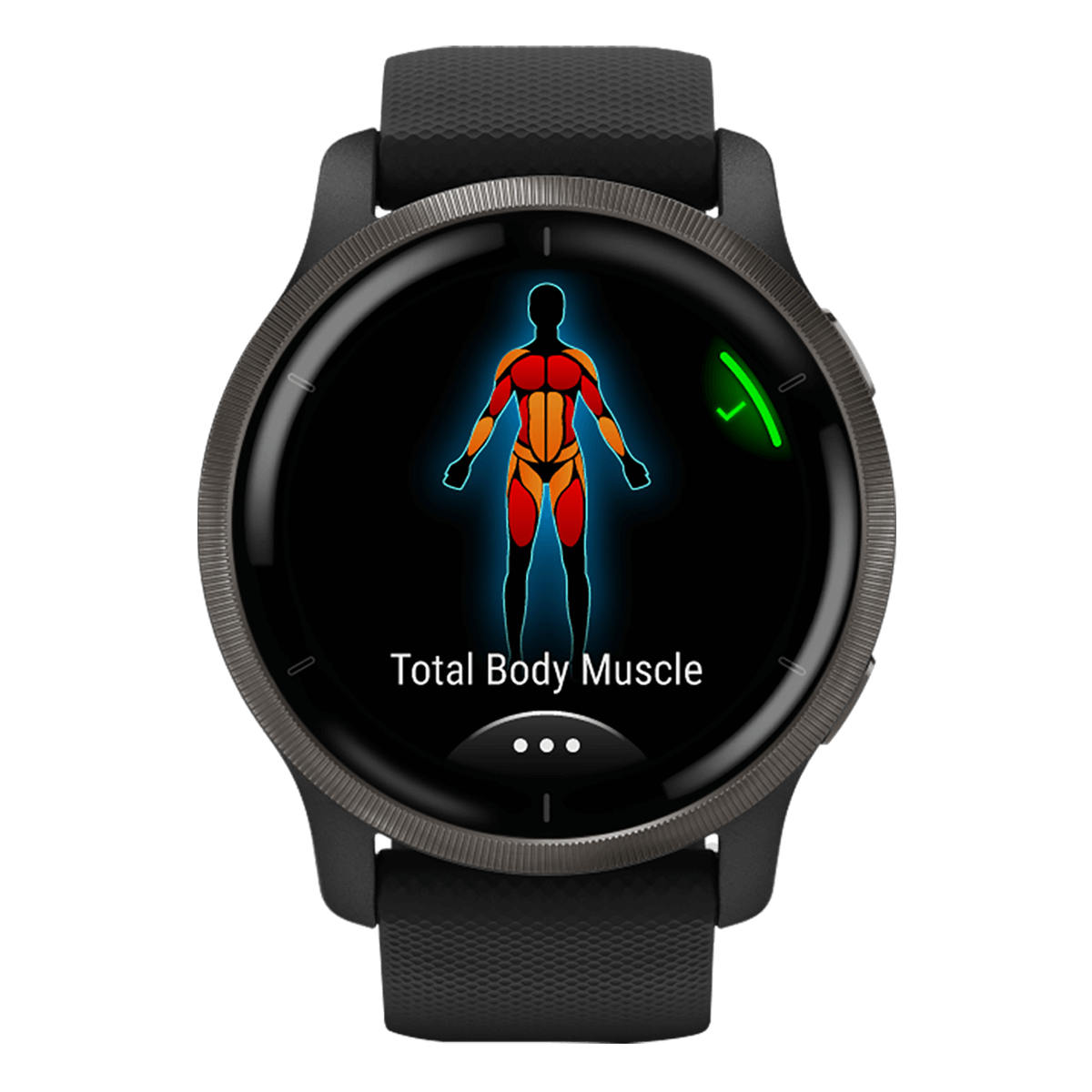 GARMIN Venu 2 Slate & Black Smartwatch - 2