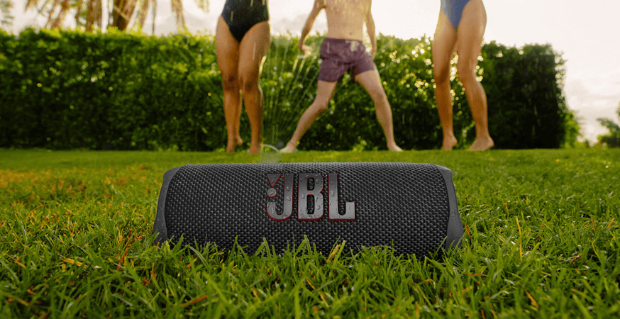 JBL Flip 6