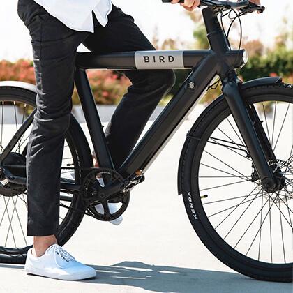 BIRD Bike