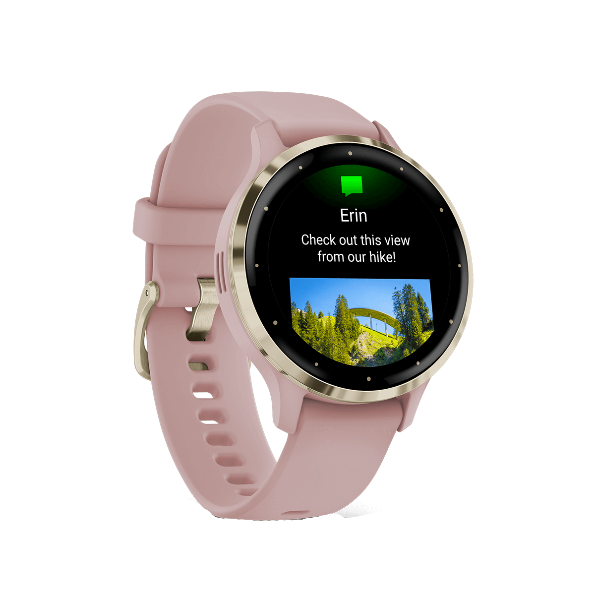 GARMIN Venu 3S Soft Gold Dust Rose Smartwatch - 2