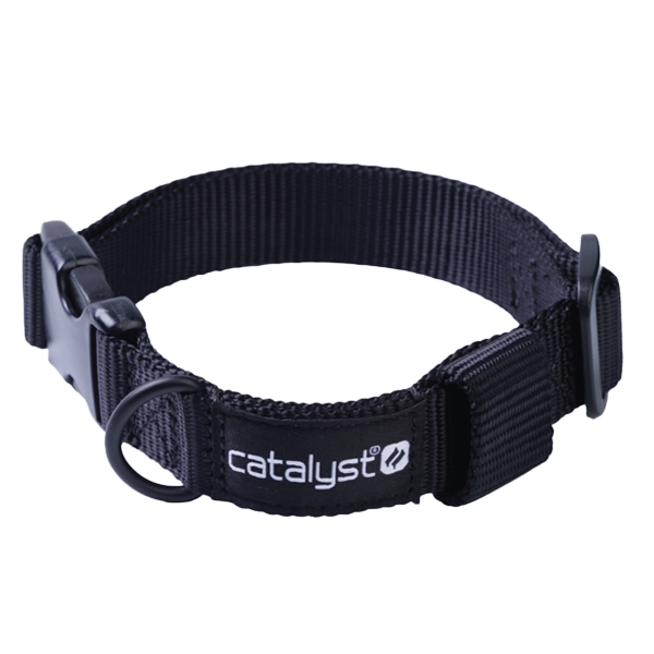 Επιλεγμένη εικόνα