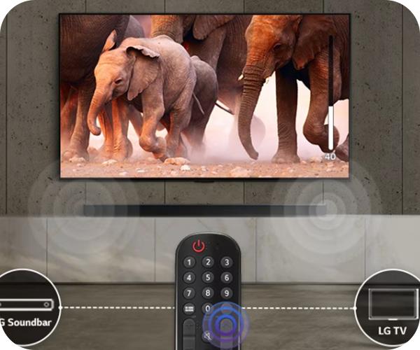 Τηλεχειριστήριο LG Magic Remote Control AI MR24GN