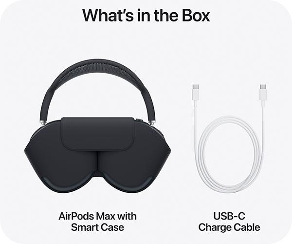 APPLE AirPods Max case