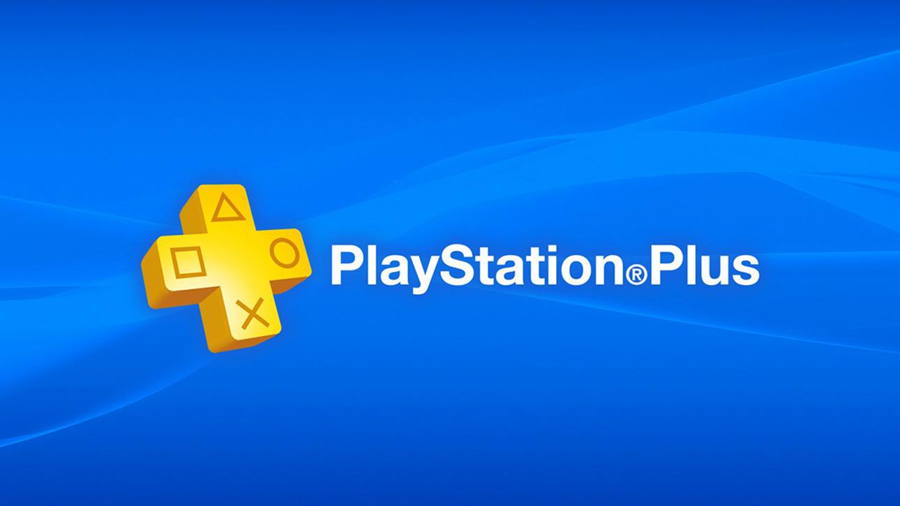 Sony PlayStation Plus Card Dual 