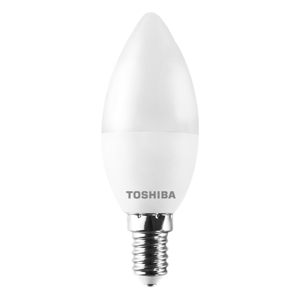 TOSHIBA bundle