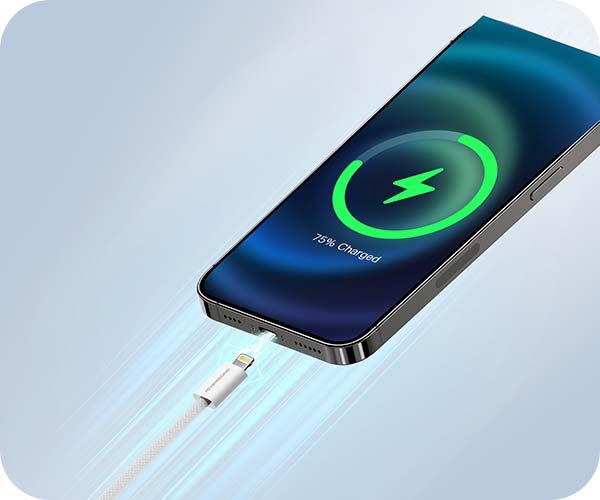 CABLE RIVERSONG 27W C2LIGHT BRAID 1m GRA