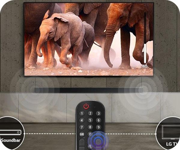 LG Magic Remote MR25GB