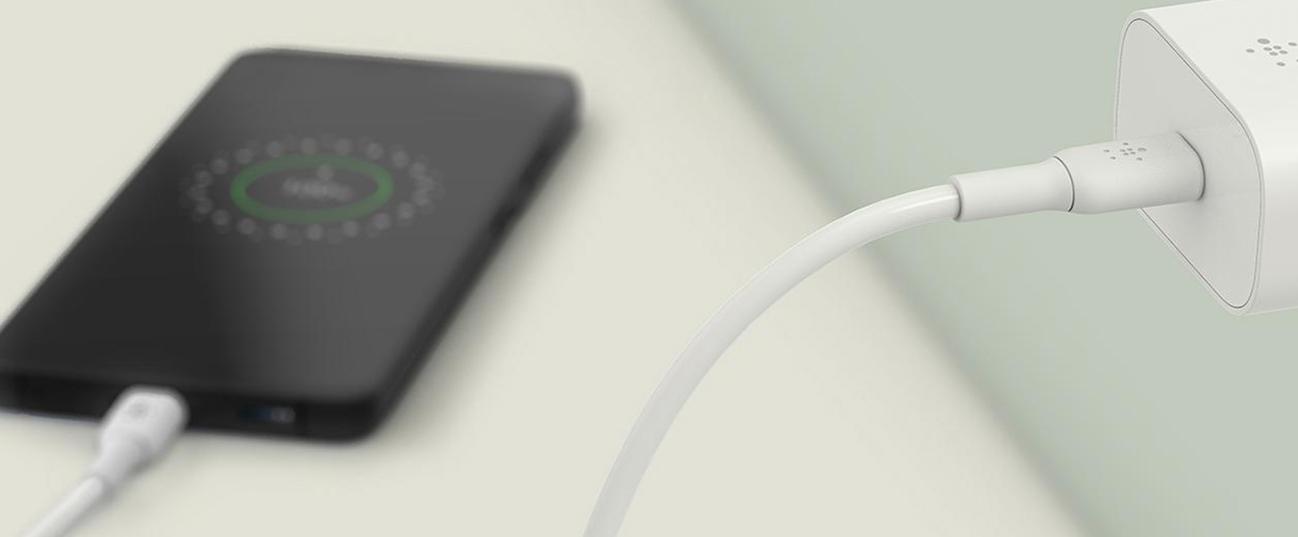 Φορτιστής Ταξιδίου BELKIN USB-C 25W