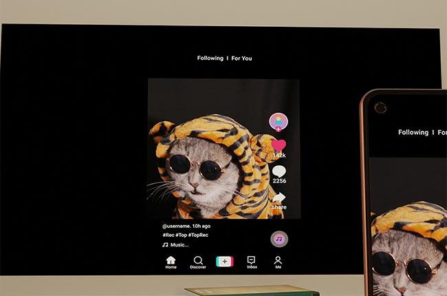 HP CC180W Portable Projector Bundle