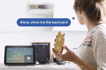 φωνητικές εντολές