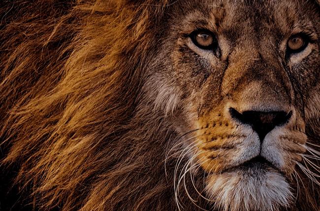 XGIMI Horizon 20 Max Google 4K Φορητός Projector