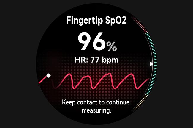 HUAWEI WATCH Ultimate 2 Smartwatch