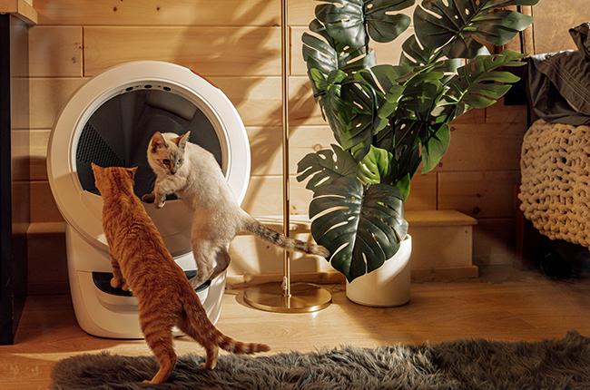 LITTER Robot 4 Αυτοκαθαριζόμενη Τουαλέτα για Γάτες Beige