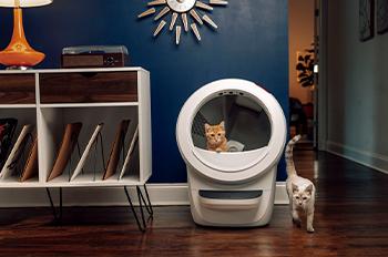 LITTER Robot 4 Αυτοκαθαριζόμενη Τουαλέτα για Γάτες Beige