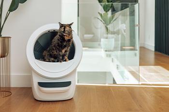 LITTER Robot 4 Αυτοκαθαριζόμενη Τουαλέτα για Γάτες Beige